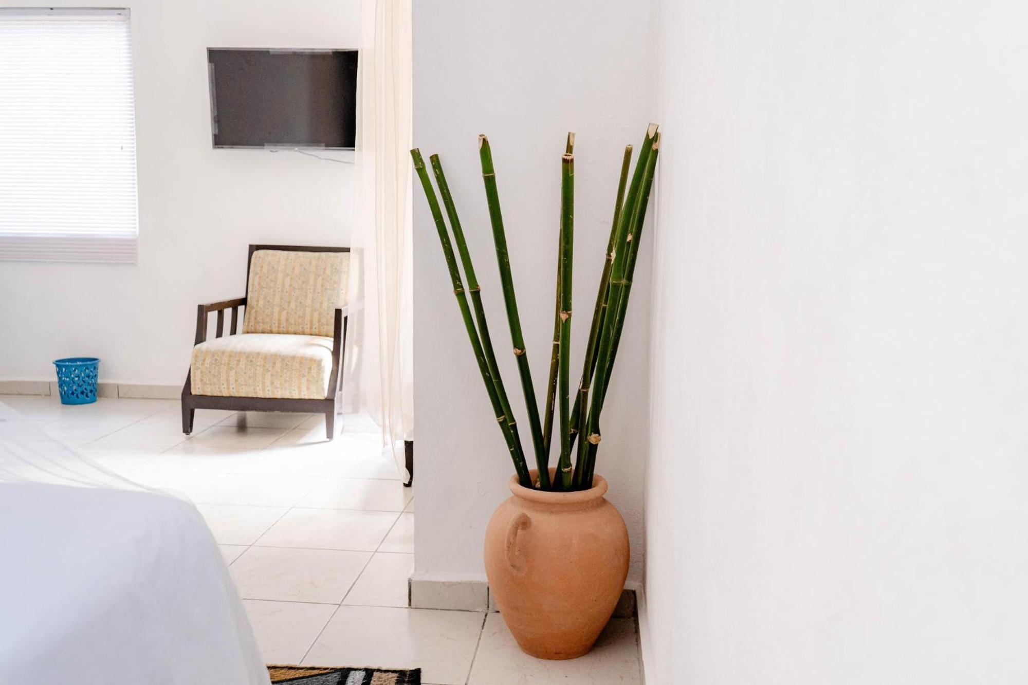 Buenosdias Izamal Bed and Breakfast Exteriör bild
